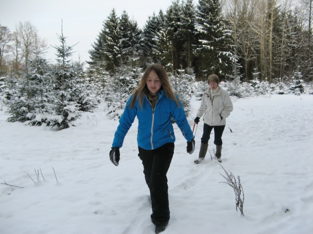 Finding Christmas tree