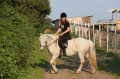 Christina horse camp