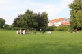 Family in Park