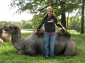 Christina Knuthenborg Safaripark